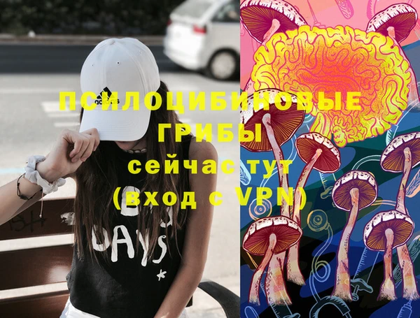 спайс Абдулино